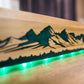 Slim Wall Mounted Version (Floating Shelf Included)